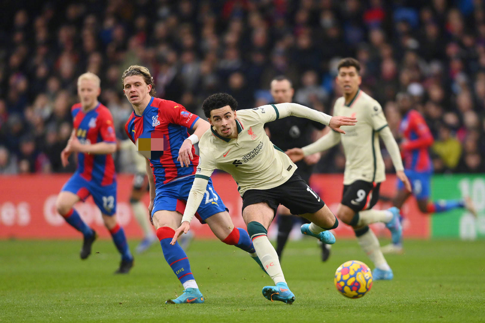 然有着广泛 然有着广泛